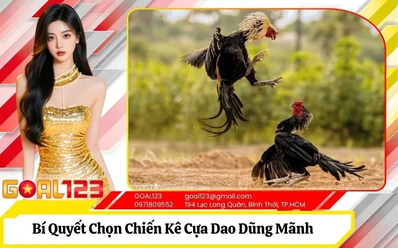 Chiến Kê Cựa Dao