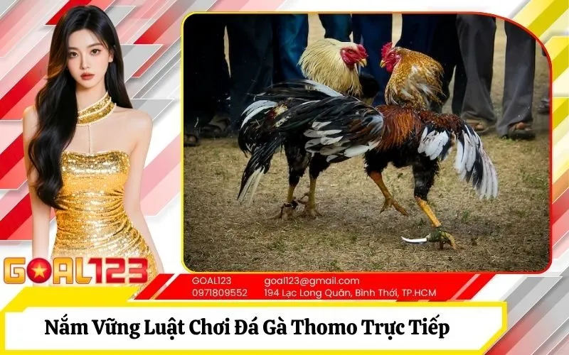 Luật Chơi Đá Gà Thomo